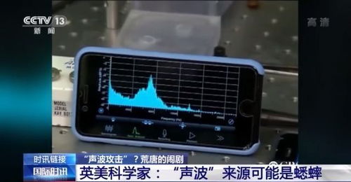 美驻古巴外交官遭遇声波攻击?科学家揭露真凶:蟋蟀叫(古巴外交官拍桌子)