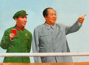 九一三事件”：坠毁的林彪256号专机黑匣子到底去哪儿了?(九一三事件话剧完整)