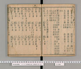 本草纲目教你认识人的可用部分(本草纲目简谱教唱)