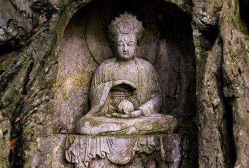 死后去哪一个?死前有征兆!(人死后会去哪一个世界)