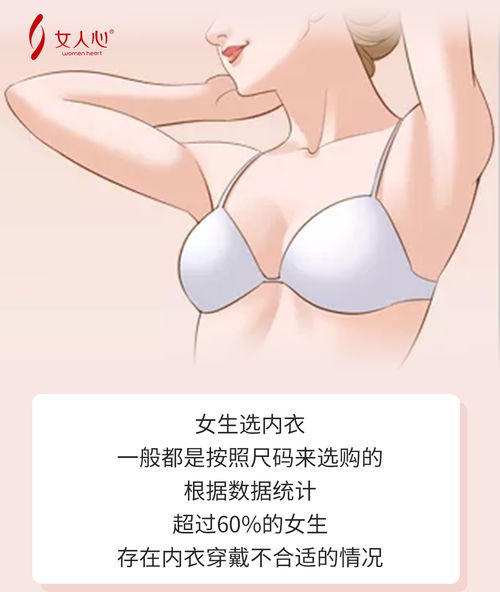 女性完美胸型的十个标准