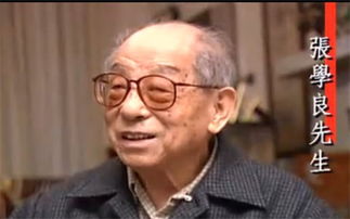 汪精卫悲剧的落幕东方历史评论 蒋介石与汪精卫、张学良交恶始末