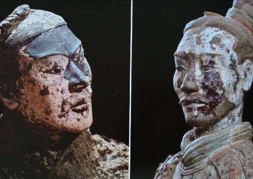 兵马俑为什么都是单眼皮(兵马俑为什么都是丹凤眼)