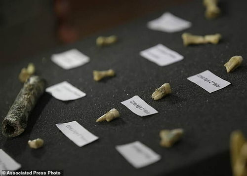 吕宋古人类（Homo Luzonensis）菲律宾现新人类 身高不足1.2米