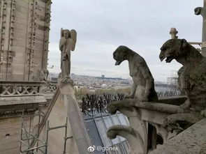 圣母院内最重要文物：耶稣受难荆棘冠被抢救