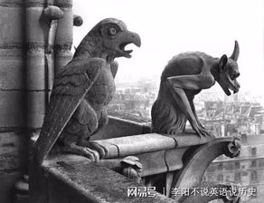 圣母院大教堂上的神兽雕塑(法国圣母院大教堂)