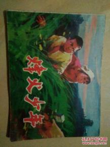 酒鬼玫瑰圣斗事件少年a画 14岁青少年连环杀人日记 传说中的(酒鬼蔷薇圣斗事件后续)