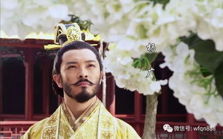 唐太宗霸占杨广妻女的历史真相(唐太宗娶了杨广的皇后)