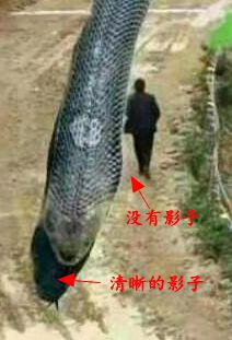 120米龙引发宜宾地震泥石流