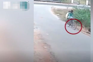 眼镜蛇埋伏路边“突袭”骑车男 结果走位不慎被卷进车轮(梦见路边有眼镜蛇)