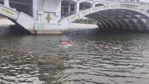 她裸体地从45米高的桥上跳下来