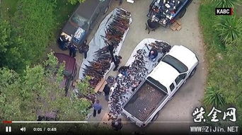 洛杉矶一豪宅发现1000多支枪 警察:我从未见过这么多枪(洛杉矶贝莱尔豪宅)