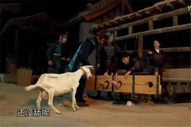 古代最残忍的酷刑:这种酷刑叫吃面条 犯人被折磨致死(古代的酷刑有多残忍)