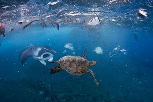 世界上十大最离奇的沉船未解之谜 海洋中最神秘的死亡区是什么?(世界上最离奇的凶杀案)