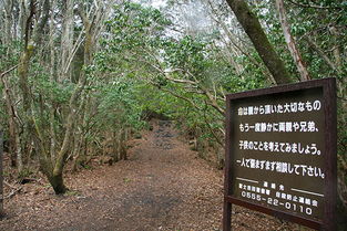 日本自杀森林:青木原森林(Aokigahara)为何不封闭?