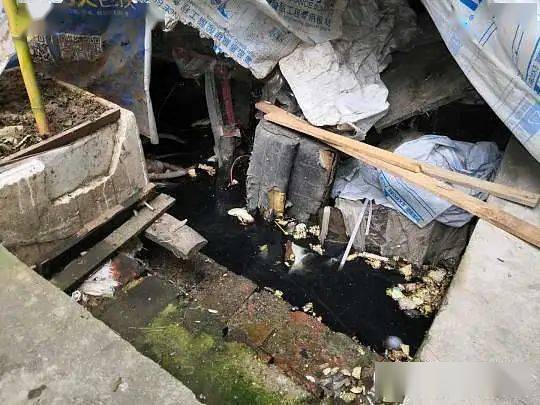 家里有矿吗?村民家里的水井实际上是抽的金沙 原因是谜(现场)
