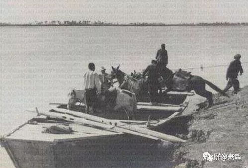 1965年黄河巨龟事件是真的吗?(1965年黄河巨龟事件图片)