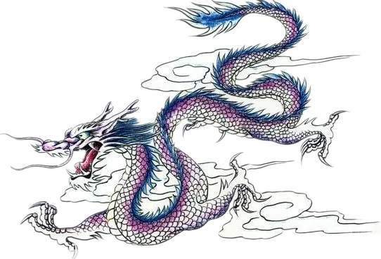 历史记载:龙的存在有真实案例(有关龙的历史记载)