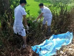 白色突然出现在草丛中尸体 法医准备在现场开始事故(腿上突然出现白色)
