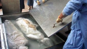 恐怖!澳大利亚研究称人死后17个月身体仍会移动(澳大利亚虫子恐怖)