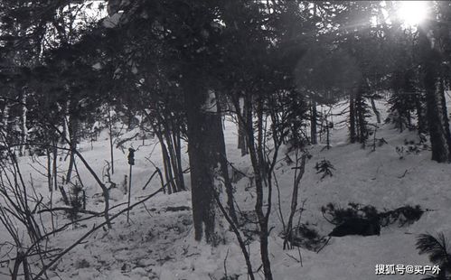 历史上最奇怪的山难迪亚特洛夫事件:9名登山者死于雪山(死者图