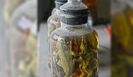 世界上最恶心最难喝的酒,韩国粪酒超重超恶心(世界上最恶心的广告)