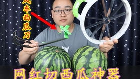 奶奶切西瓜刀,双手举起 接下来是看呆网友(视频)
