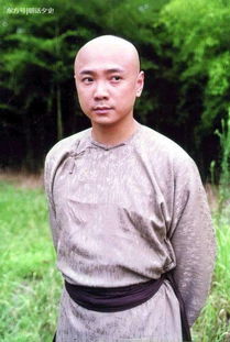 李卫当官是真实的历史吗?历史上真正的李卫是什么样的人?(李卫当官是真实的吗)