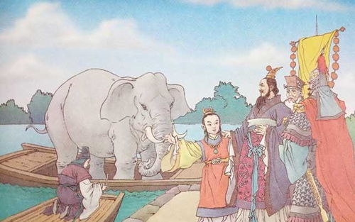 神童级人物是什么?你当时有这样的智慧吗?(神童指的是什么意思)