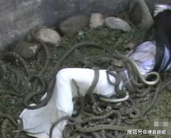 酷刑蛇钻孔像盆一样恶心 妲己发明的骨盆酷刑有多残忍?