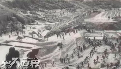 白蛇被切断后,承包商又烧掉了白蛇