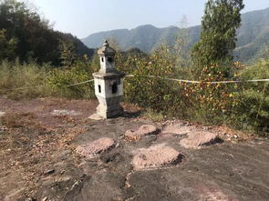 一亿年前恐龙留下的小山村发现化石(一亿年真恐龙图片)