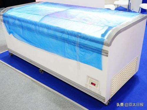 女富人被藏在冰箱里变成水泥冻尸 账户增加了大量的金额