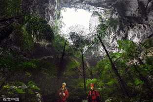 广西发现世界级天坑群(西南岩溶地质遗迹调查)(广西世界级文化遗产)