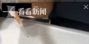 用宠物睾丸当球抛视频曝光,激怒网友护士被停职