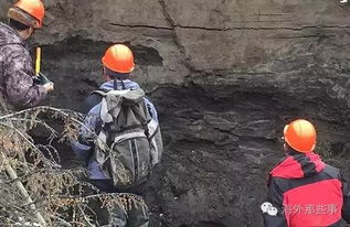 西伯利亚永久冻土融化地质现象(距今2.8万年史前生物现身)