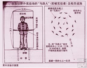 731侵华部队在中国东北研究细菌武器,对俘虏进行人体实验 抗(日本侵华实验室731在哪)