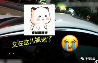 嘉兴高速交警支队接到一通特殊在电话里(嘉兴高速交警支队颜俊伟)