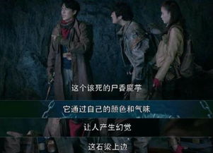 罗泊湖有哪些神秘奇怪的事件
