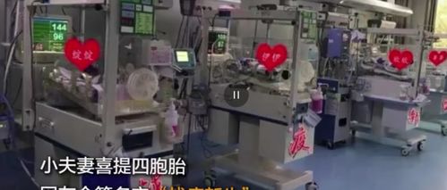 疫情期间,90后夫妻喜欢四胞胎姐妹 给他们起的名字亮了(疫情期间)