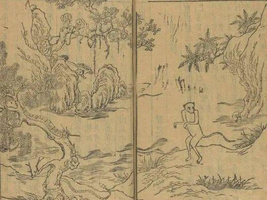 《山海经》中的神话传说(山海经中的神树)