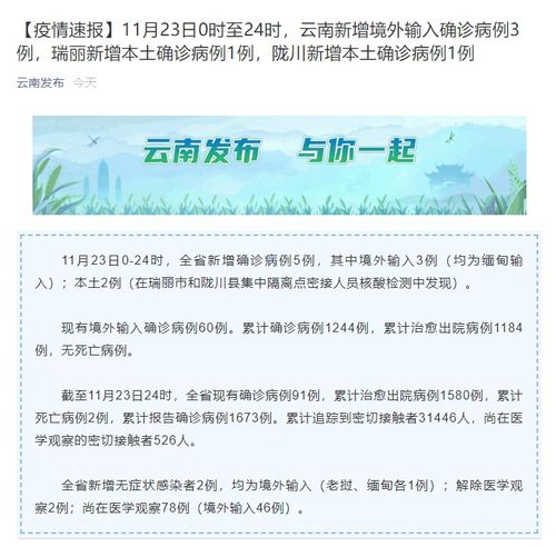 新冠肺炎在日本已被诊断为980例(日本新冠肺炎特效药)