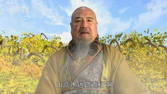 乌巢禅师,他是谁?为什么莫名其妙的教唐僧多心经?(乌巢禅师的话有什么深意)