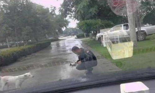 男子家中漏水把楼下淹了,但他却死活不开门,警察进门后被眼前一
