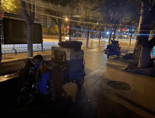 武汉女子拍绿色菜地 网友:我想种20亩地吗?