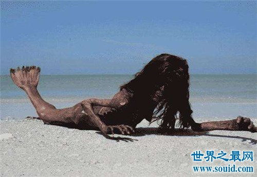 世界上关于美人鱼真实新闻的报道(世界上最惨的美人鱼)
