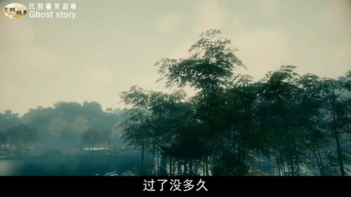 2005年可能是论坛社区中最受欢迎的时期