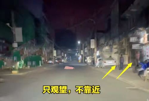 成群蝗虫袭击西亚国家阿曼苏丹友多米尼克阿布汉纳