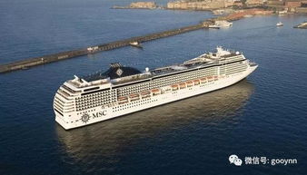 海洋魅力号和海洋绿洲号的有趣事实(海洋魅力号和海洋绿洲号对比)