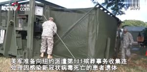美军特种部队每天处理400具遗体 纽约在无人岛万人坑埋尸(美军特种部队 tire1)